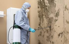 Best Mold Prevention Services  in USA